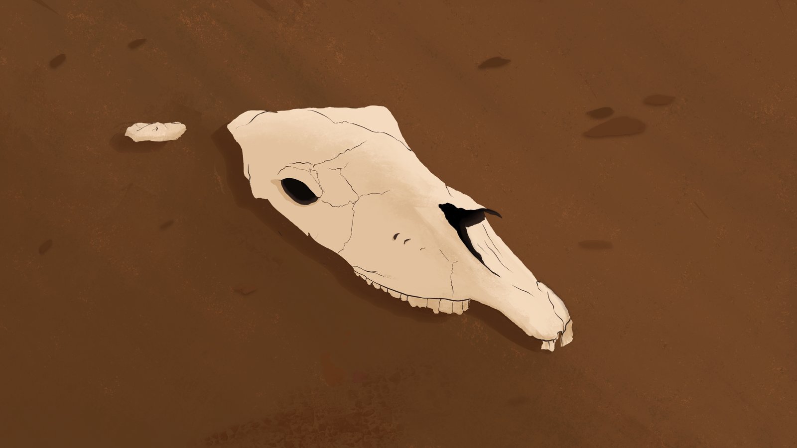 Illustration of a bleached animal skull lying on cracked orange desert ground
