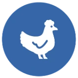 Icon of a chicken
