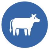 Icon of a cow