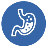 Icon of a stomach