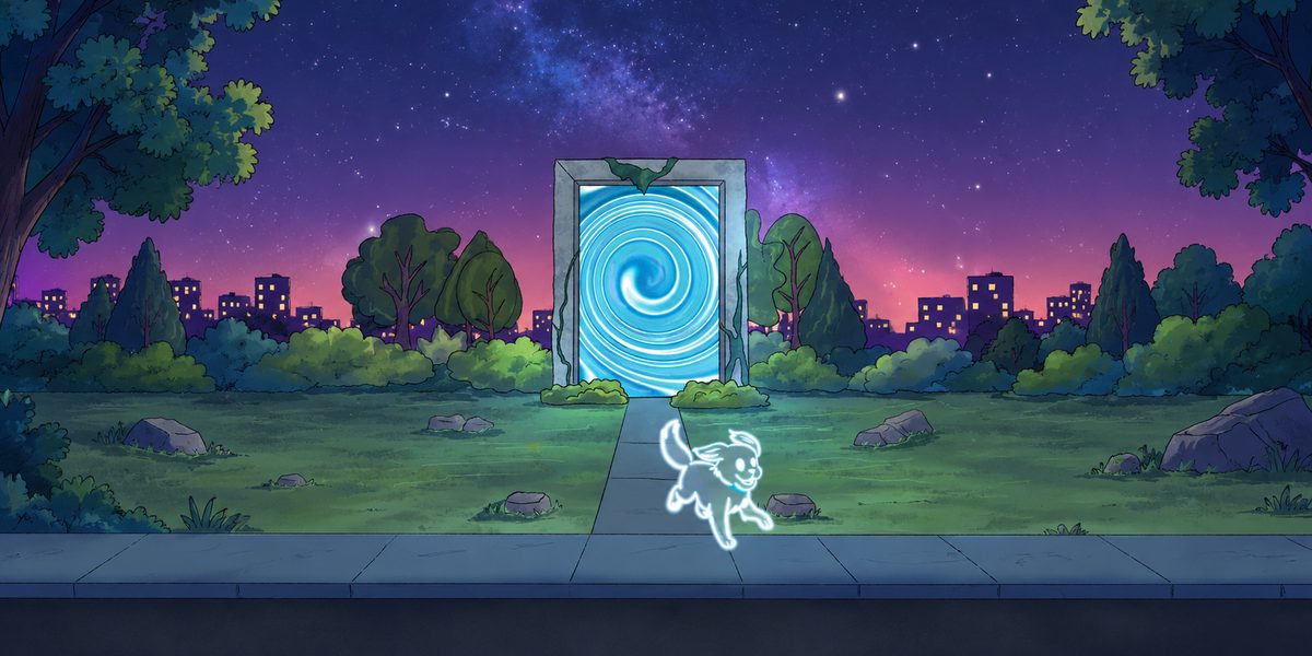 A glowing spirit dog running toward a swirling portal in a night-time park